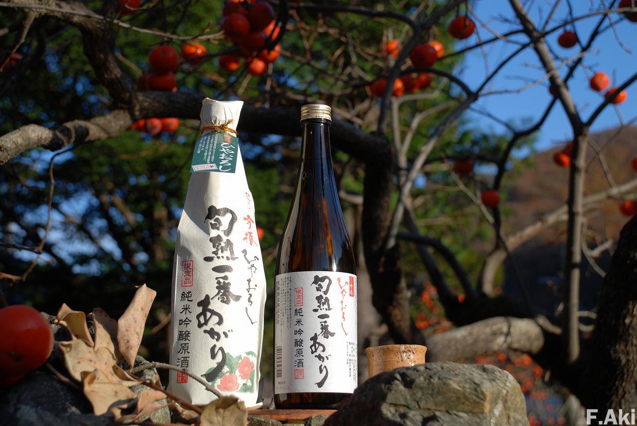日本酒　酒徒礼讃　新潟県加茂市　越の雪椿　ひやおろし　旬熟一番あがり・・強い酸味と濃厚な甘味