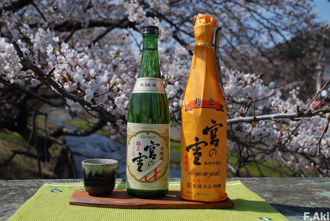 日本酒　酒徒礼讃　三重県四日市市　宮の雪　本醸造・・旨味より酸味のインパクト