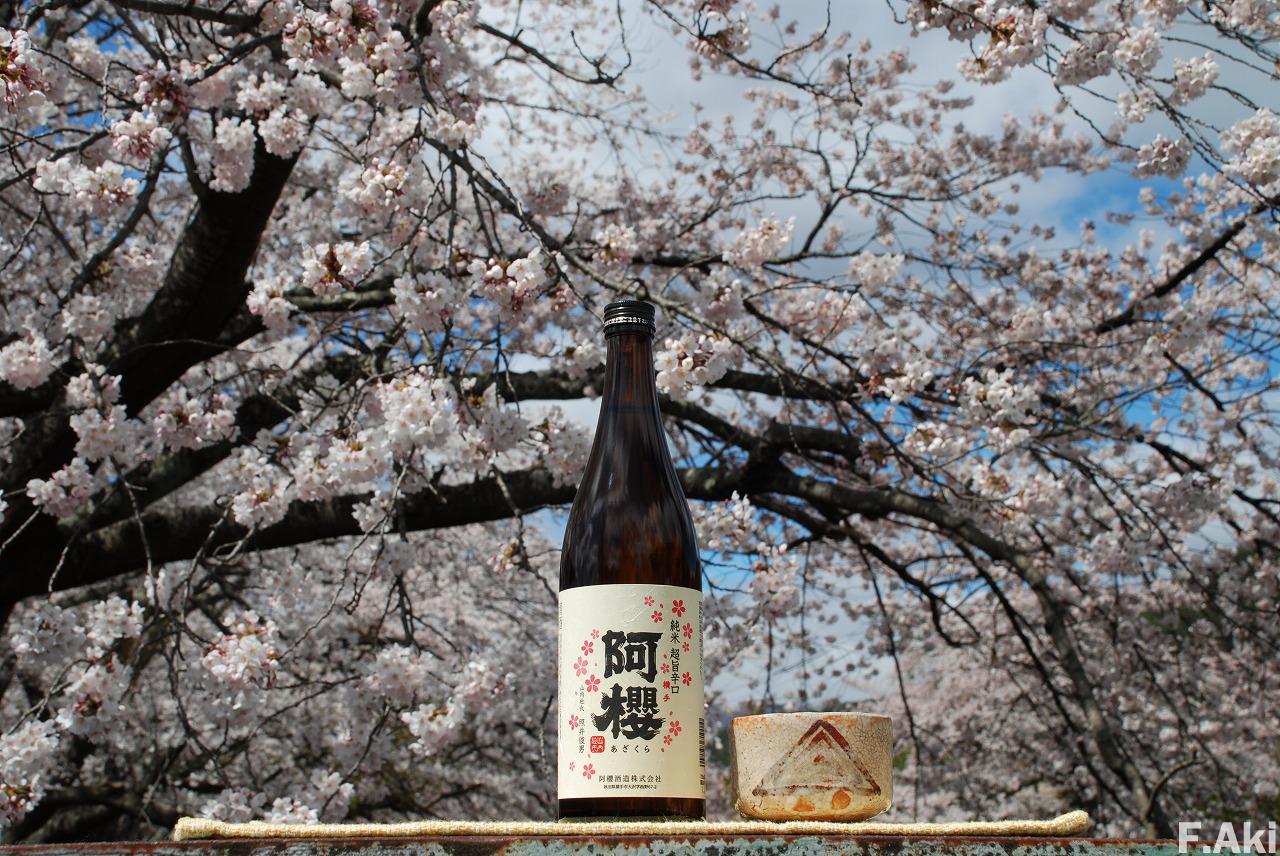 酒徒礼讃 日本酒 秋田県横手市 阿櫻・・さらりと飲みたい。