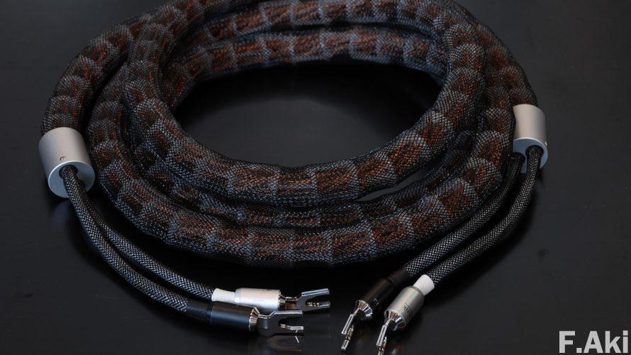 オーディオ・ベースマン見たり聴いたり インアクースティック LS-2404 Air・・見た目は「🐍」だが。