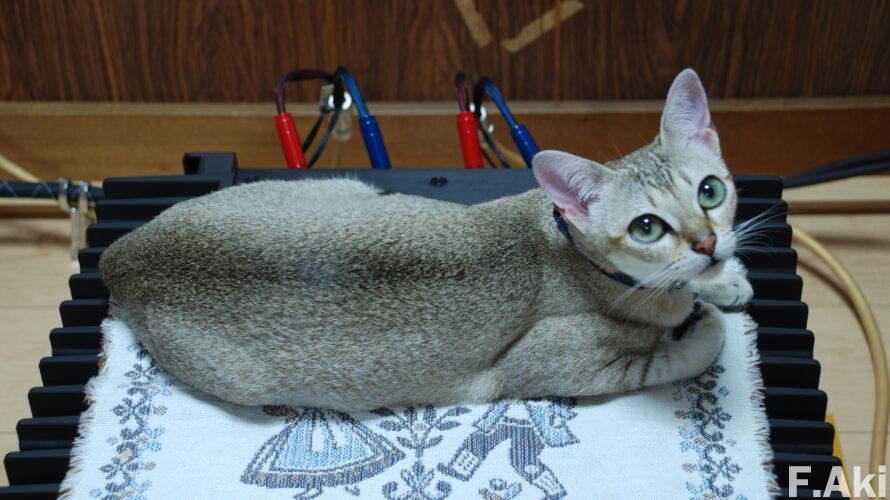 オーディオ・ベースマン見たり聴いたり 猫の魔法で音楽(CD)を聴く・・ウィーン・コンツェルトハウスのハイドン弦楽四重奏曲集。(用品・ネックレス)