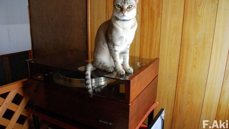 オーディオ・ベースマン見たり聴いたり　パイオニア・エクスクルーシブ P3　その②・・やはり不沈艦。そして、ネコもレコードも愛する方の必需品！？。