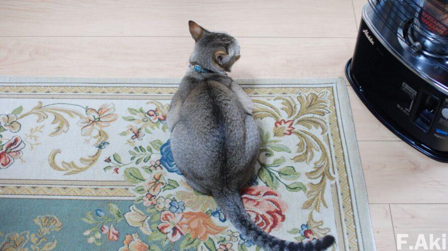 オーディオ・ベースマン見たり聴いたり 猫の魔法で音楽(CD)を聴く マルセル・メイエ(メイエル)さんの17枚のCD。(健康・体調不良・嘔吐)